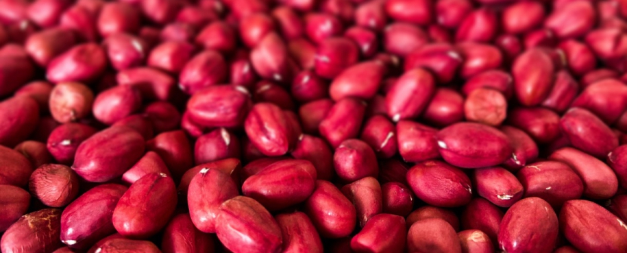 Đậu Đỏ 100% Nguyên Chất